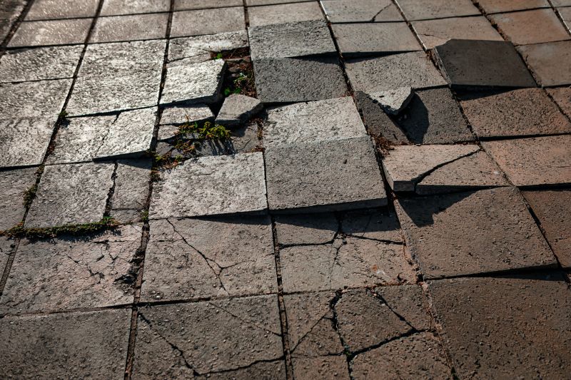 Paving Grout Repair