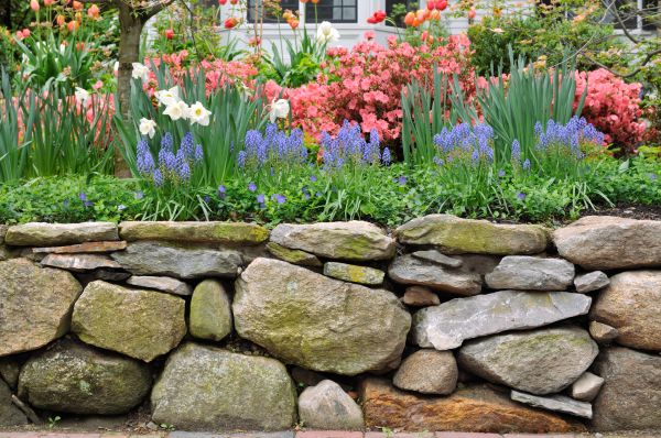 Garden Wall Installation in Bainbridge Island